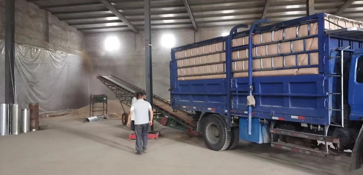 1670376628157009449.jpg 1670376628157009449.jpg